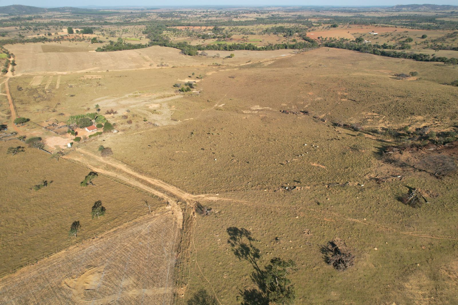 WhatsApp Image 2025-01-20 at 10.55.34