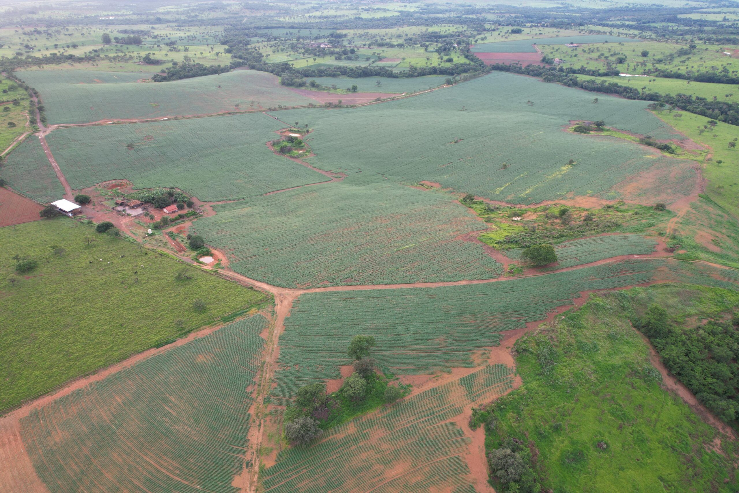 WhatsApp Image 2025-01-20 at 10.56.24